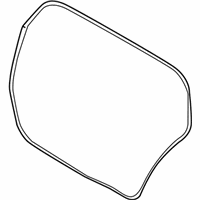 OEM Chevrolet Aveo Weatherstrip - 96540965