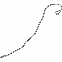 OEM Kia Forte Catch & Cable Assembly-F - 815901M500