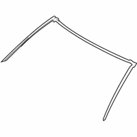 OEM 2011 BMW M3 Seal, A-Pillar - 51-76-7-119-111