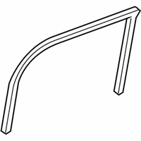 OEM 2009 Ford Focus Run Weatherstrip - 8S4Z-6320556-B