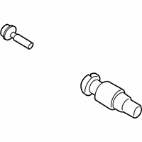 OEM BMW 320i Screw-In Valve, Rdc - 36-14-6-792-828