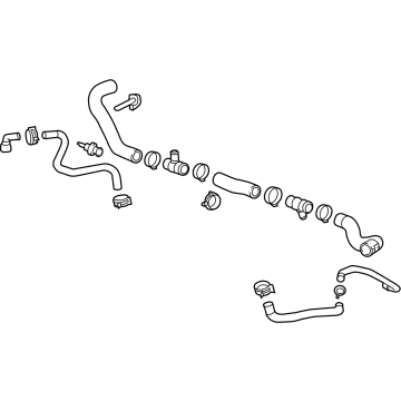 OEM Cadillac CT5 Lower Hose - 84819024