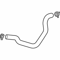 OEM 2015 Chevrolet Spark EV Lower Hose - 95087746