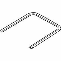 OEM 2012 BMW X6 Seal, Sunroof - 54-10-7-189-241