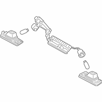 OEM 2021 Kia Telluride Lamp Assembly-License Pl - 92501S9000