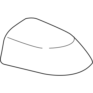 OEM 2022 BMW X6 OUSIDE MIRROR SHROUD, CARBON - 51-16-8-077-002