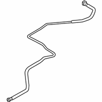 OEM Ford Vapor Hose - HG9Z-9D667-A