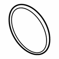 OEM Chevrolet City Express Thermostat Seal - 19316306