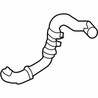 OEM 2013 Ford Explorer Lower Hose - BB5Z-8286-G