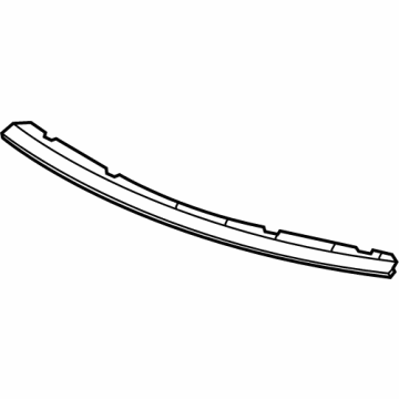 OEM Chevrolet Trailblazer Front Weatherstrip - 42484107