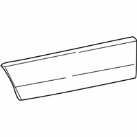 OEM Lincoln Body Side Molding - 6W1Z-5420879-APTM