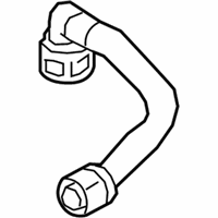 OEM 2019 Ford EcoSport Vent Hose - CM5Z-6A664-D