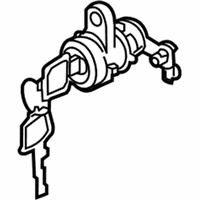 OEM 2017 Chevrolet City Express Lock Cylinder - 19316185