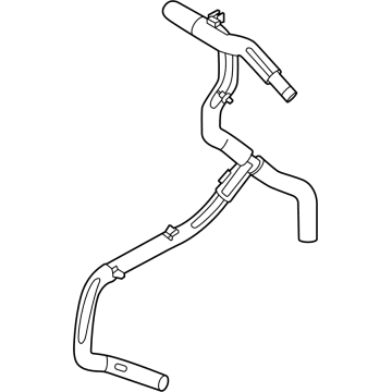 OEM Ford HOSE ASY - LX6Z-8A577-Q