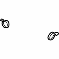 Genuine Cadillac Fuel Hose Clamps