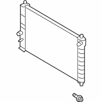 OEM Chevrolet Aveo Radiator Assembly - 42421858