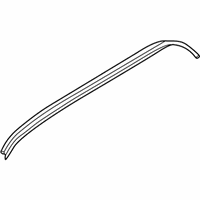 OEM 2001 Nissan Pathfinder Weatherstrip-Front Door Outside, RH - 76842-3W410