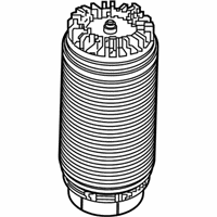 OEM 2022 Ram 1500 Air Suspension Spring - 68260938AA