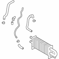 OEM Kia Amanti Tube Assembly-Oil Cooler - 575503F100