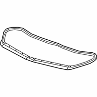 OEM Chevrolet Blazer Front Weatherstrip - 84751933