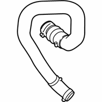 OEM Ford F-150 Upper Hose - JL3Z-6C646-A