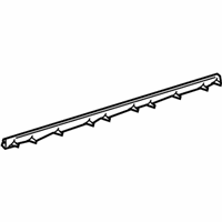 OEM Toyota Sienna Belt Weatherstrip - 68171-AE010