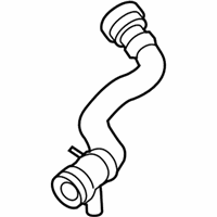 OEM BMW 528i Coolant Hose - 17-12-7-619-684