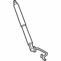 OEM Buick Lift Cylinder - 84243984