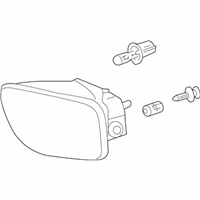 OEM 2005 Chevrolet Trailblazer EXT Fog Lamp Assembly - 15076246