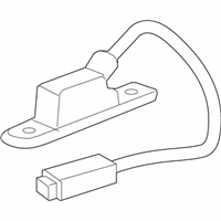 OEM 2011 Chevrolet Malibu License Lamp - 20807069