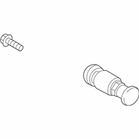 OEM BMW 430i Gran Coupe Repair Kit, Screw-Type Valve Rdci - 36-10-6-876-673