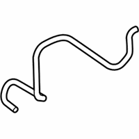 OEM 2018 Ford EcoSport Water Hose - GN1Z-8A567-C
