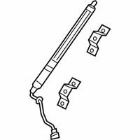 OEM 2021 Honda Pilot Motor Assy. Set, Ptg - 74961-TG7-325