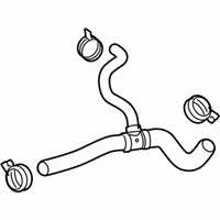 OEM GMC Lower Hose - 22884203