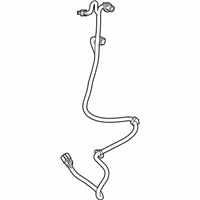 OEM Chevrolet Silverado 1500 Socket & Wire - 84234370