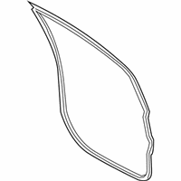 OEM 2021 Ford EcoSport Door Weatherstrip - DN1Z-7420530-E