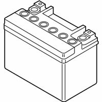 OEM 2021 Lincoln Aviator Battery - BHAGM-AUX1-A