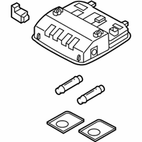 OEM 2021 Hyundai Ioniq Overhead Console Lamp Assembly - 92800-F2060-TTX