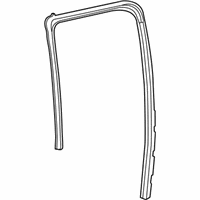 OEM GMC Run Weatherstrip - 84462122