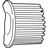 OEM 2002 Lincoln Blackwood Air Filter - F6ZZ9601BA