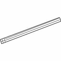 OEM 2010 Dodge Ram 2500 Molding-Rear Door - 55372099AC