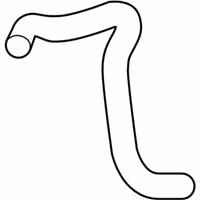 OEM Acura Hose, Water (Lower) - 19502-R9P-A00