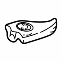 OEM Chevrolet Venture HOLDER, Rear Quarter Trim - 10289905