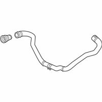 OEM Chevrolet Express Lower Hose - 84440071
