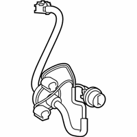 OEM 2019 Toyota RAV4 Socket & Wire - 81555-42220