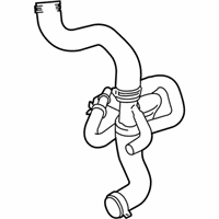 OEM 2019 Ford Transit-350 Lower Hose - CK4Z-8286-E