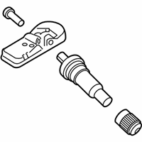 OEM Kia Carnival Wheel Assembly-Temporary - 52919P2100