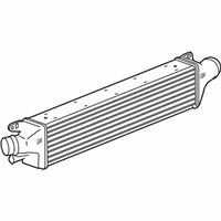 OEM Chevrolet Intercooler - 95199556