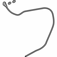 OEM Chevrolet Express Dipstick - 12678819