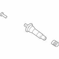 OEM 2022 Ford EcoSport Valve Stem - F2GZ-1700-A